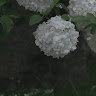 Tetsuu